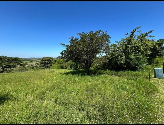 LAND FOR SALE IN ZINI RIVER ESTATE